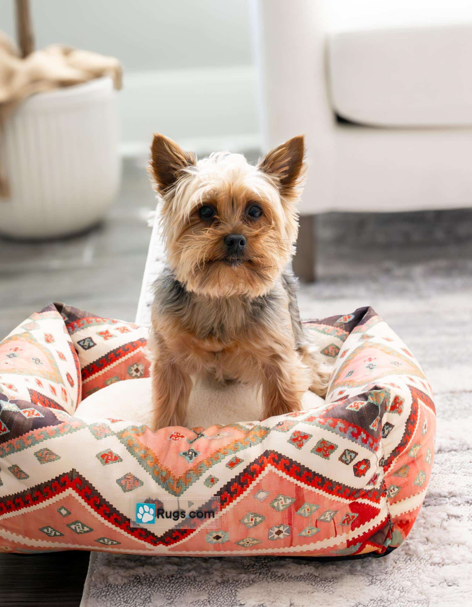 2' x 2' 4 Premium Pet Bed