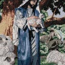 Farbvariante