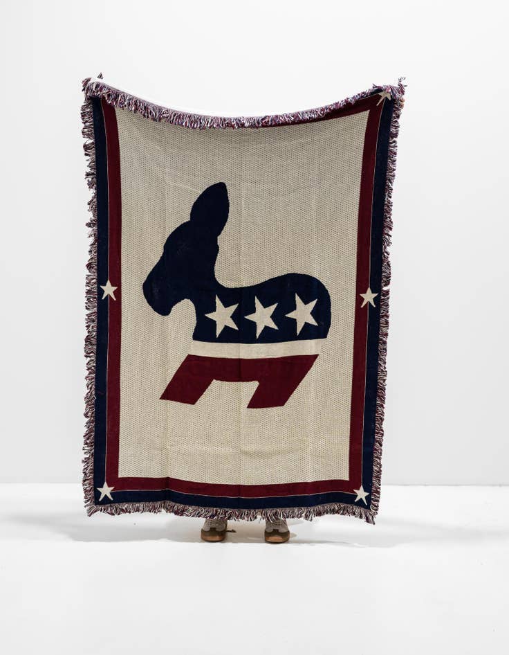 Detail image of 4' 6 x 6' Democratic Logo Throw Blanket