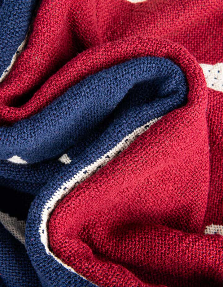 4' x 5' 9 Republican Logo Throw Blanket