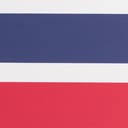 Rug Navy Blue and Red Swatch link