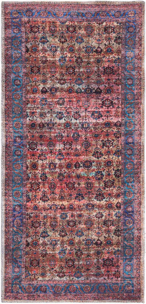 2' x 4' Washable Maahru Runner Rug