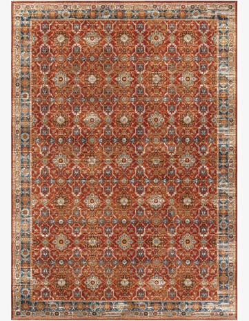 10' x 14' Easy-Clean Traditional Indoor / Outdoor Rug