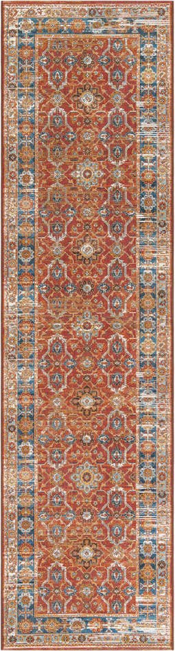 Detail image of 2' 7 x 10' Easy-Clean Traditional Indoor / Outdoor Runner Rug