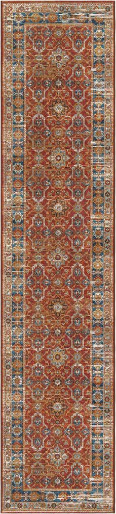 2' 7 x 12' Easy-Clean Traditional Indoor / Outdoor Runner Rug
