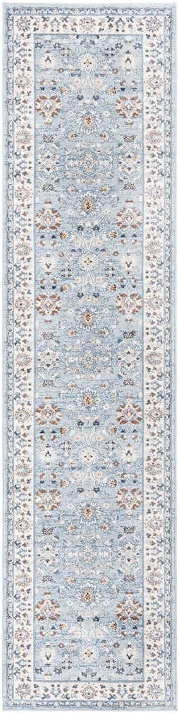 3' x 13' Charlotte Runner Rug
