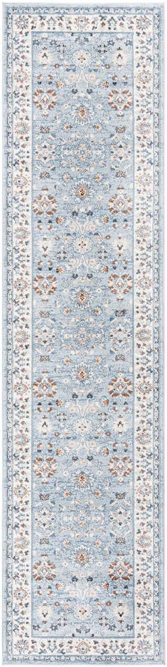 Detail image of 3' x 13' Charlotte Runner Rug