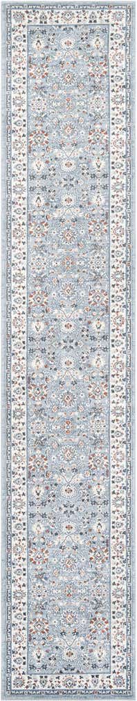 3' x 16' 5 Charlotte Runner Rug