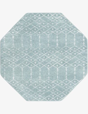 5' 3 x 5' 3 Paxon Trellis Octagon Rug