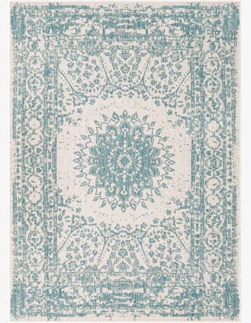 Aqua Easy-Clean Traditional Indoor / Outdoor Rug