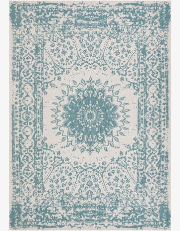 Aqua Easy-Clean Traditional Indoor / Outdoor Rug