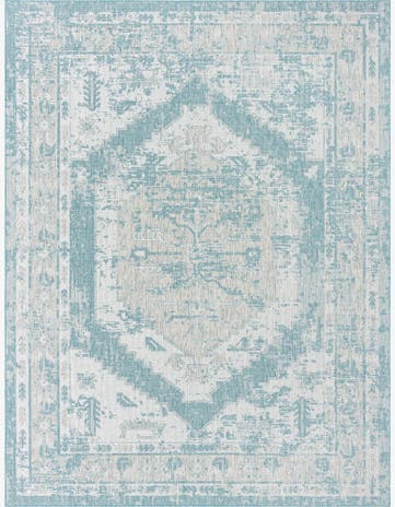 Aqua Easy-Clean Traditional Indoor / Outdoor Rug