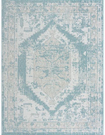 Aqua Easy-Clean Traditional Indoor / Outdoor Rug
