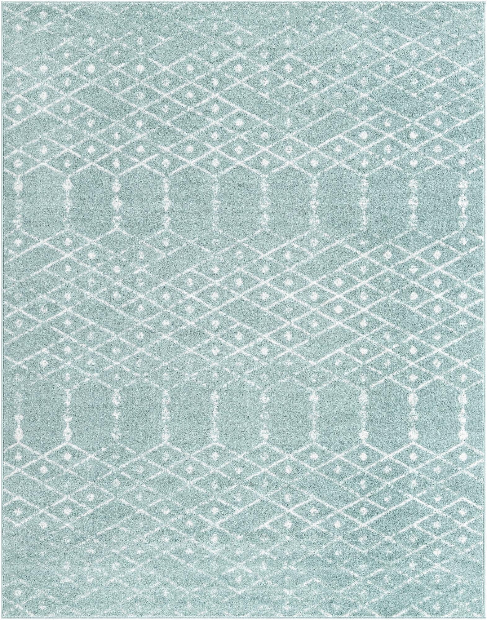 Primary image 10' x 13' Paxon Trellis Rug