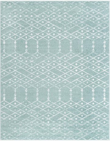 10' x 13' Paxon Trellis Rug