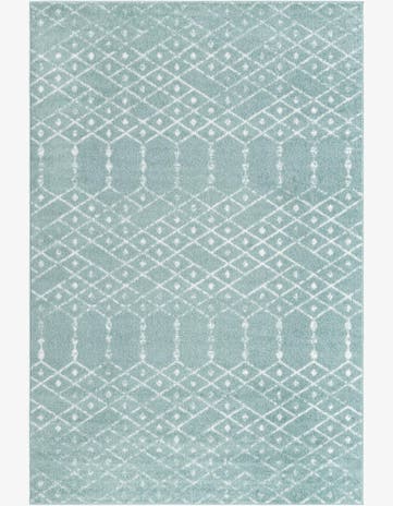 6' x 9' Paxon Trellis Rug
