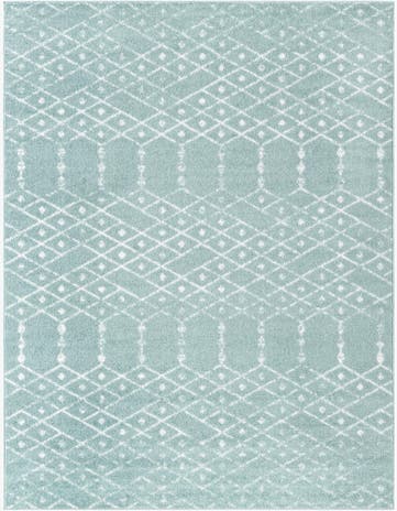 9' x 12' Paxon Trellis Rug