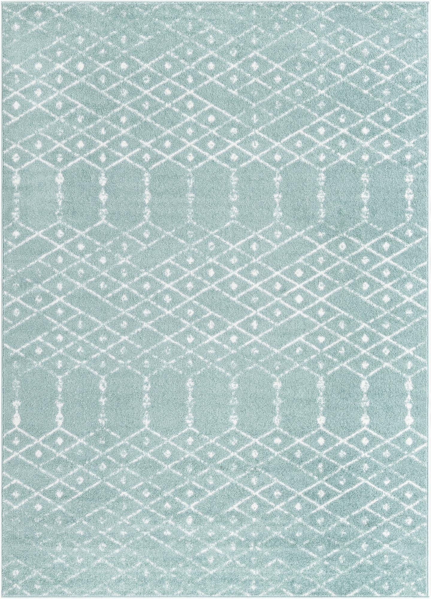 Primary image 10' x 14' Paxon Trellis Rug