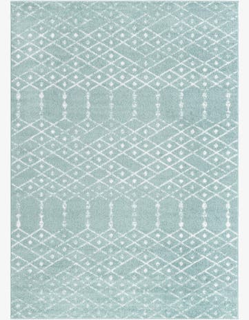 10' x 14' Paxon Trellis Rug