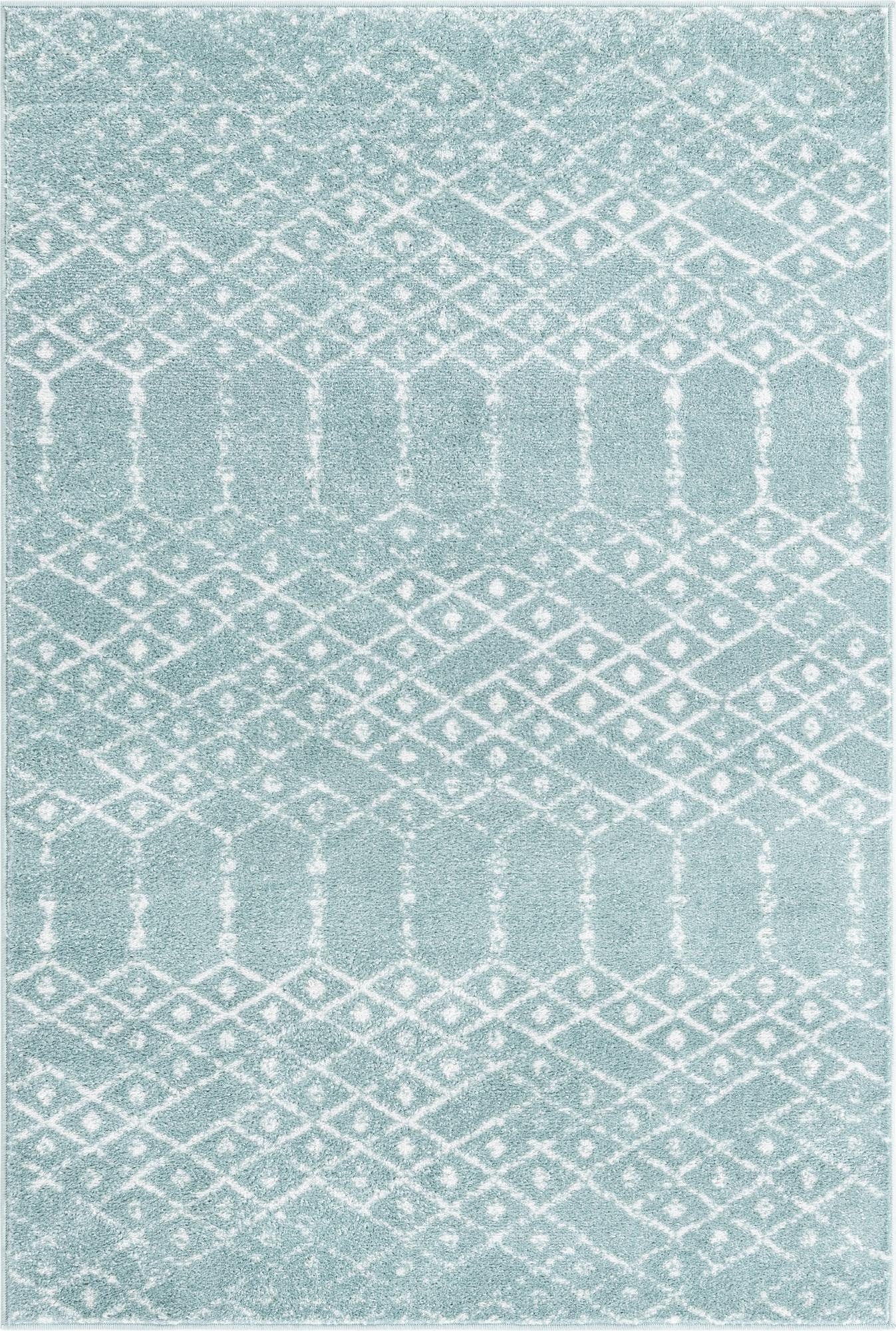 Primary image 4' x 6' Paxon Trellis Rug