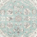 Rug Aqua Swatch link