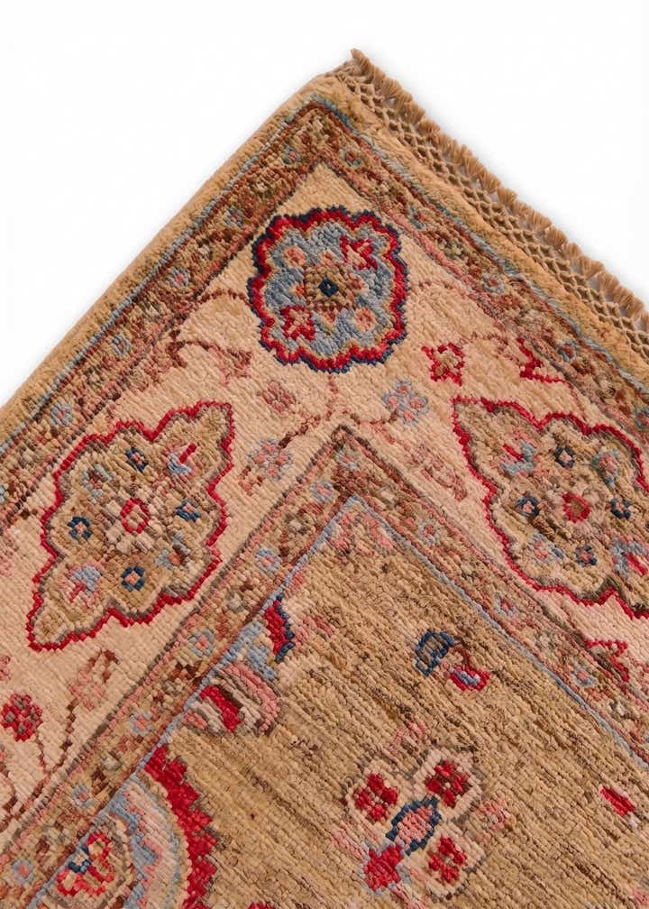2' 11 x 10' 6 Hand Knotted Ariana Ziegler Runner Rug