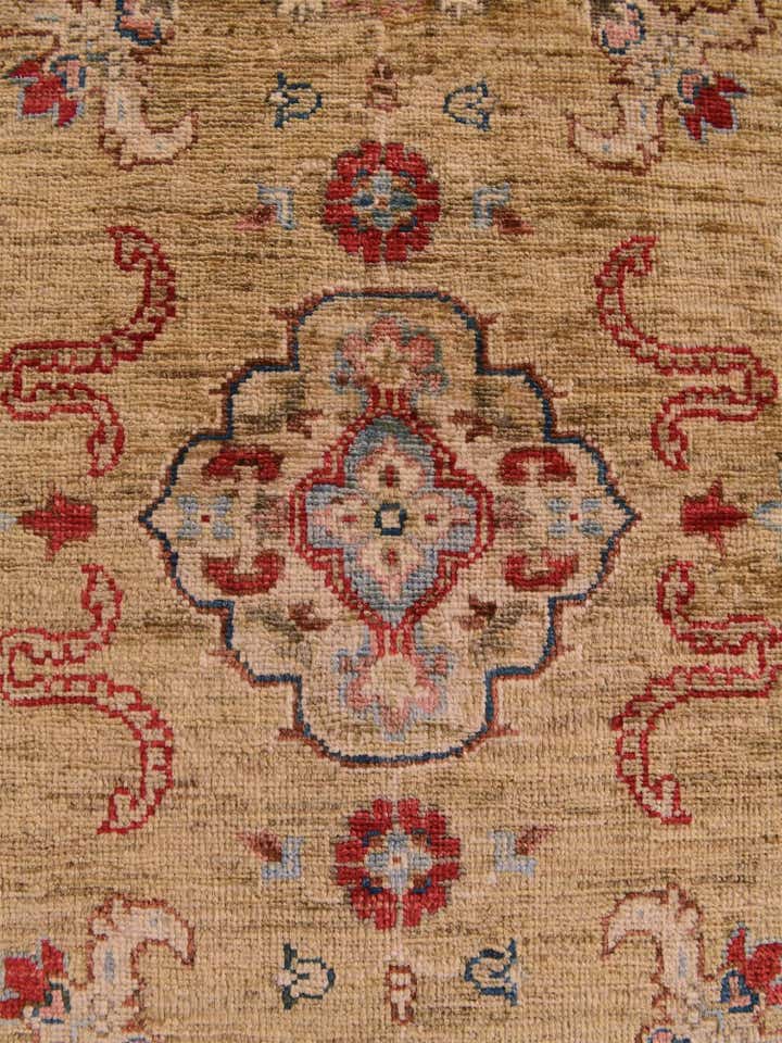 2' 11 x 10' 6 Hand Knotted Ariana Ziegler Runner Rug