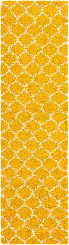 2' x 8' Barnett · Lattice Shag Rug, yellow