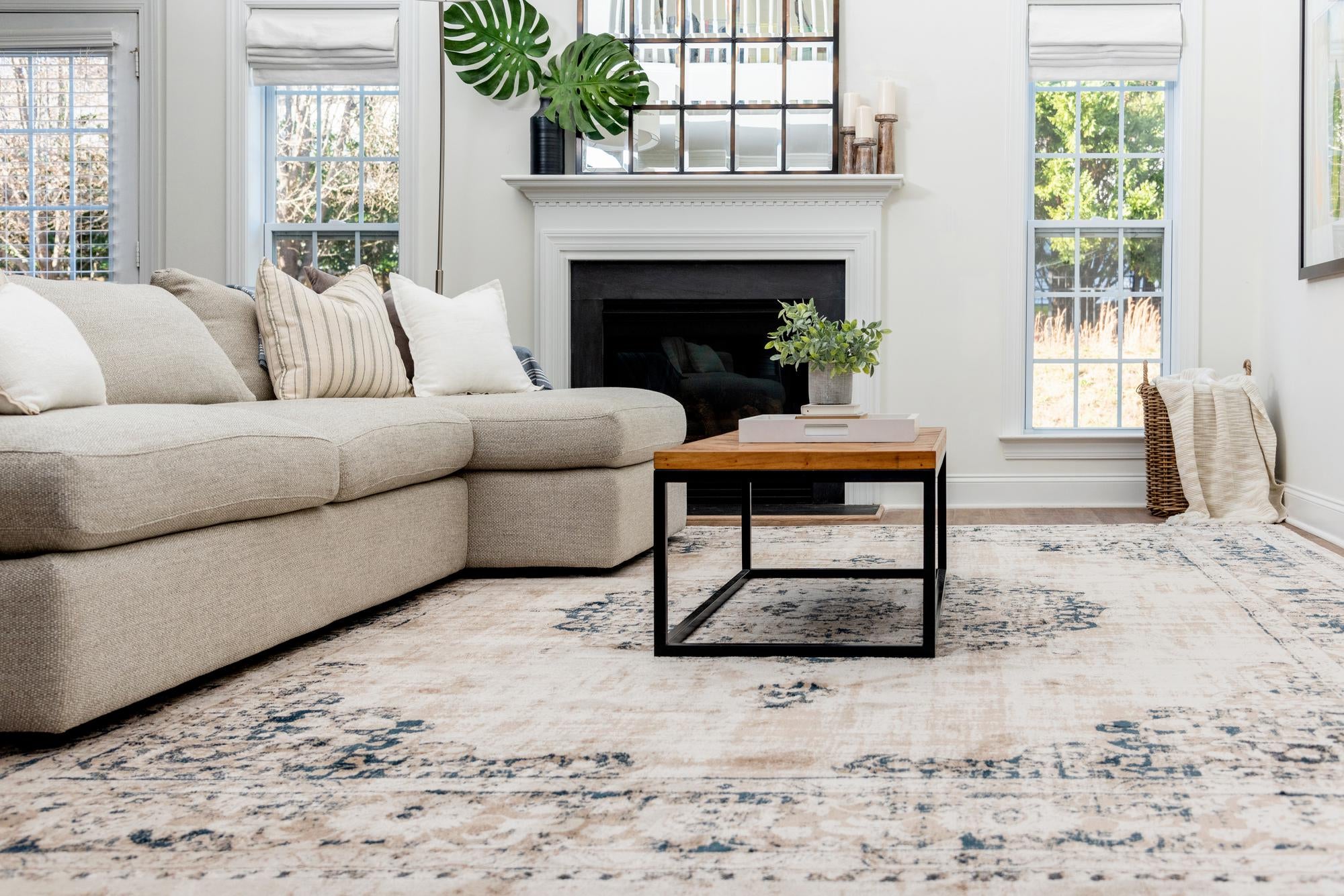 3' 3 x 5' 3 Legacy Rug