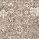 Rug Beige and Brown Swatch link