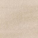 Rug Beige and Brown Swatch link