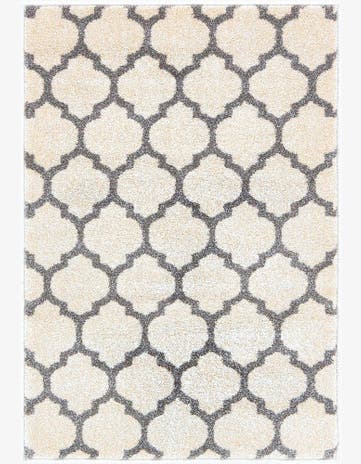 2' x 3' Trellis Rug