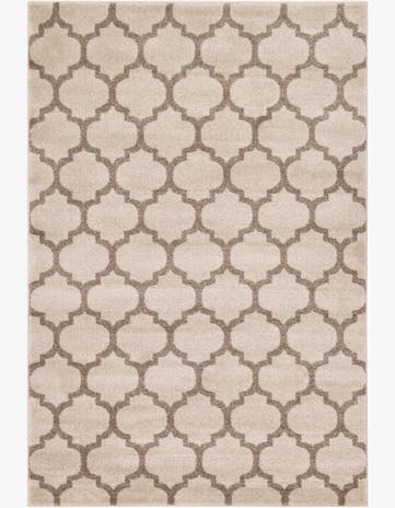 4' x 6' Trellis Rug