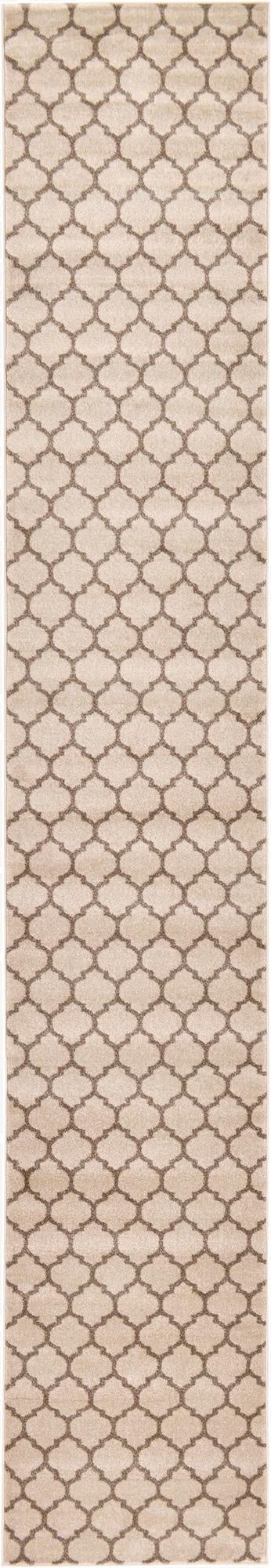 Primary image 2' 7 x 16' 5 Trellis Runner Rug