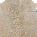 Rug Beige and Silver Swatch link