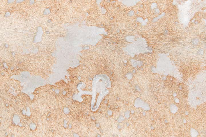 6' 8 x 7' 4 Cowhide Leather Square Rug