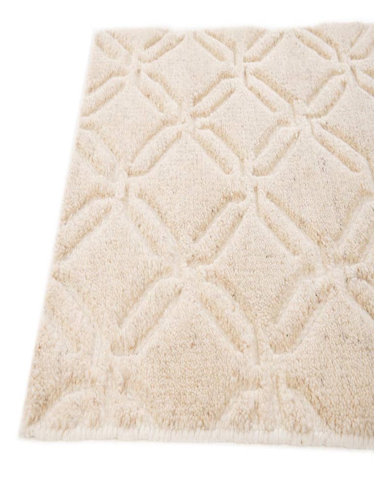 Detail image of 2' x 3'  Hand Knotted Lana New Zealand Wool Rug