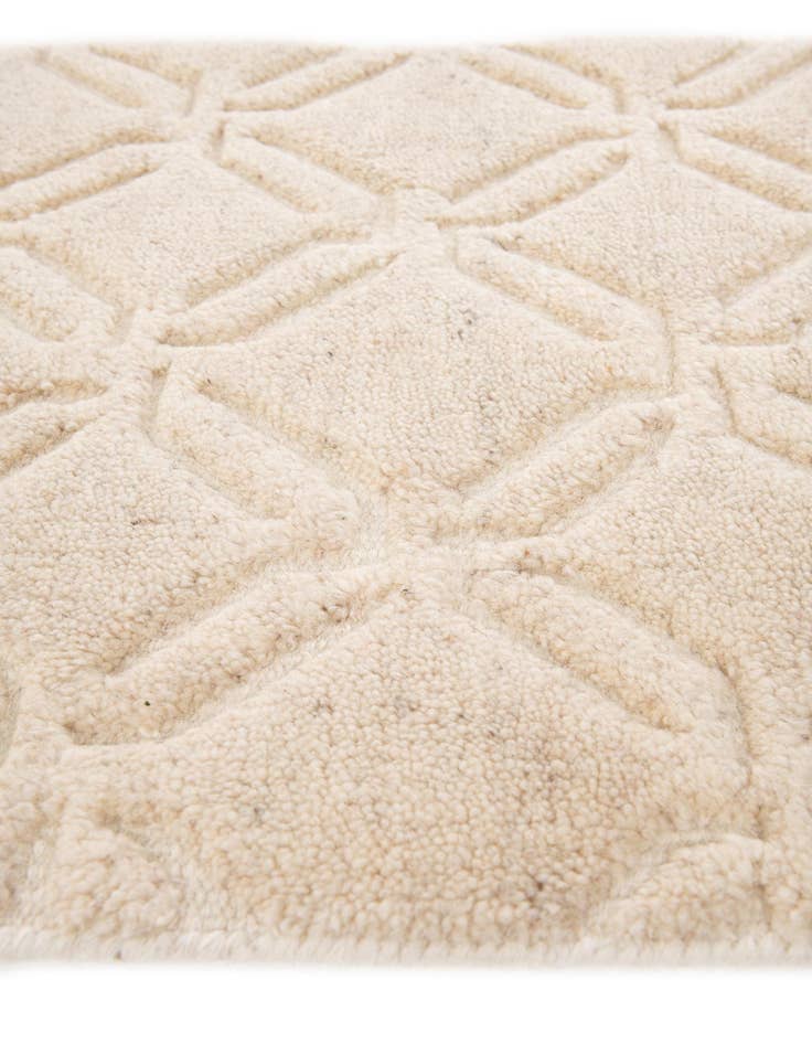 Detail image of 2' x 3'  Hand Knotted Lana New Zealand Wool Rug