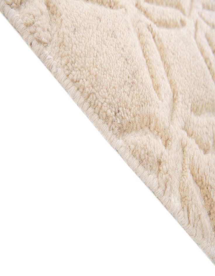 Detail image of 2' x 3'  Hand Knotted Lana New Zealand Wool Rug