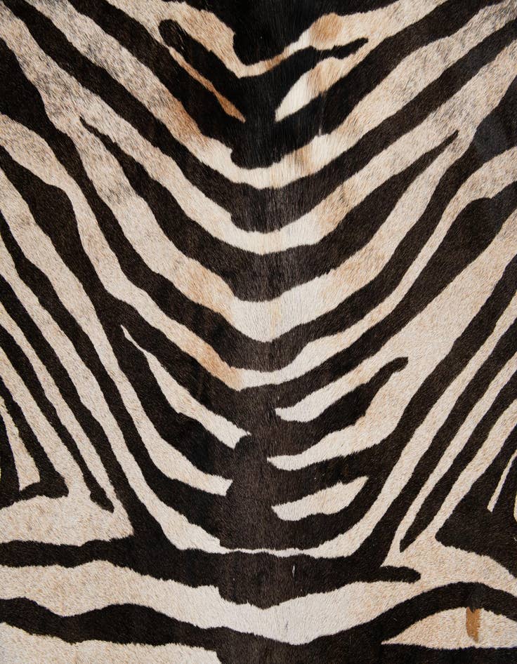 Detail image of 6' 5 x 6' 7 Cowhide Leather Freeform Rug