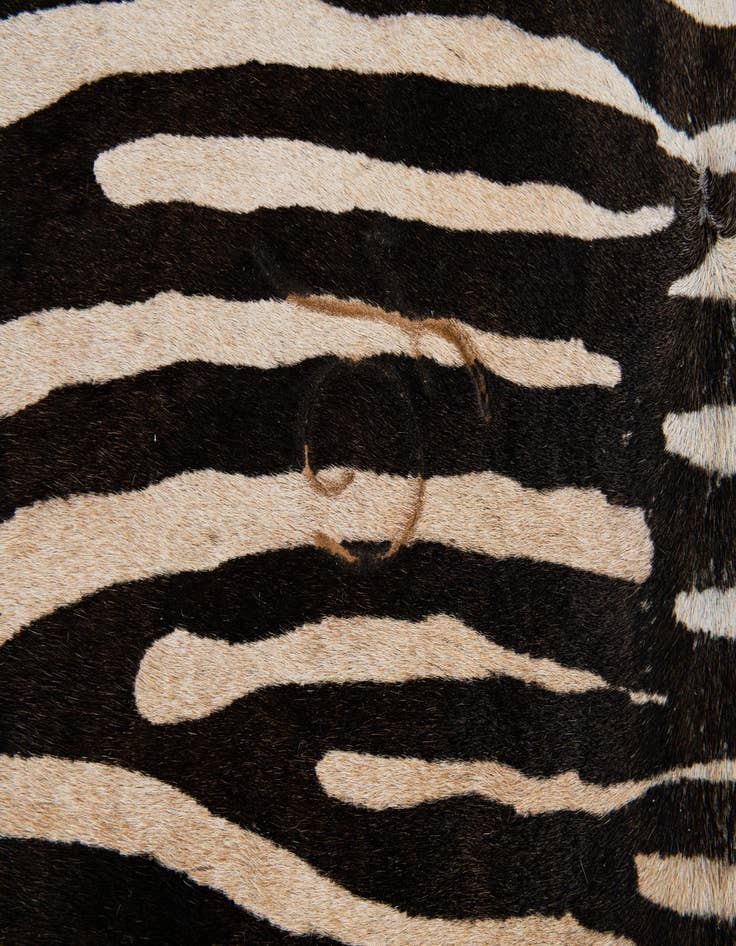 Detail image of 6' 5 x 6' 7 Cowhide Leather Freeform Rug