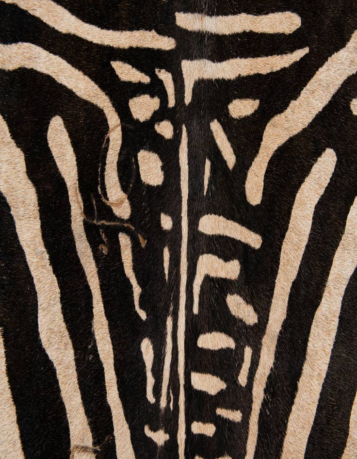 Detail image of 6' 5 x 6' 7 Cowhide Leather Freeform Rug