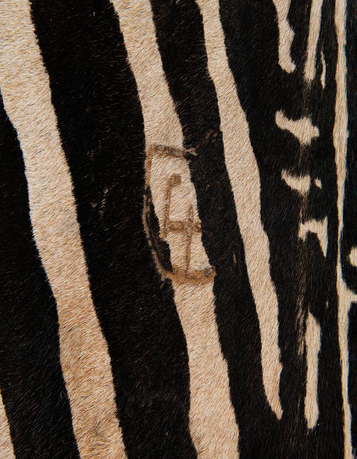 Detail image of 6' 5 x 6' 7 Cowhide Leather Freeform Rug