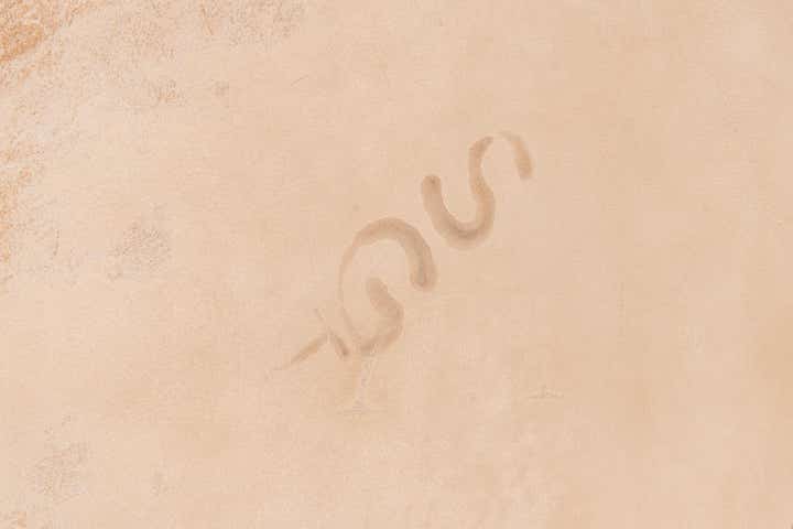 6' 5 x 7' Cowhide Leather Freeform Rug