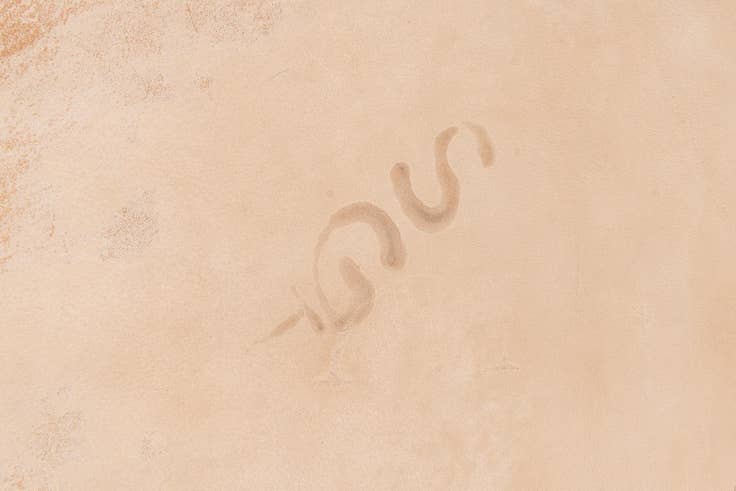 Detail image of 6' 5 x 7' Cowhide Leather Freeform Rug