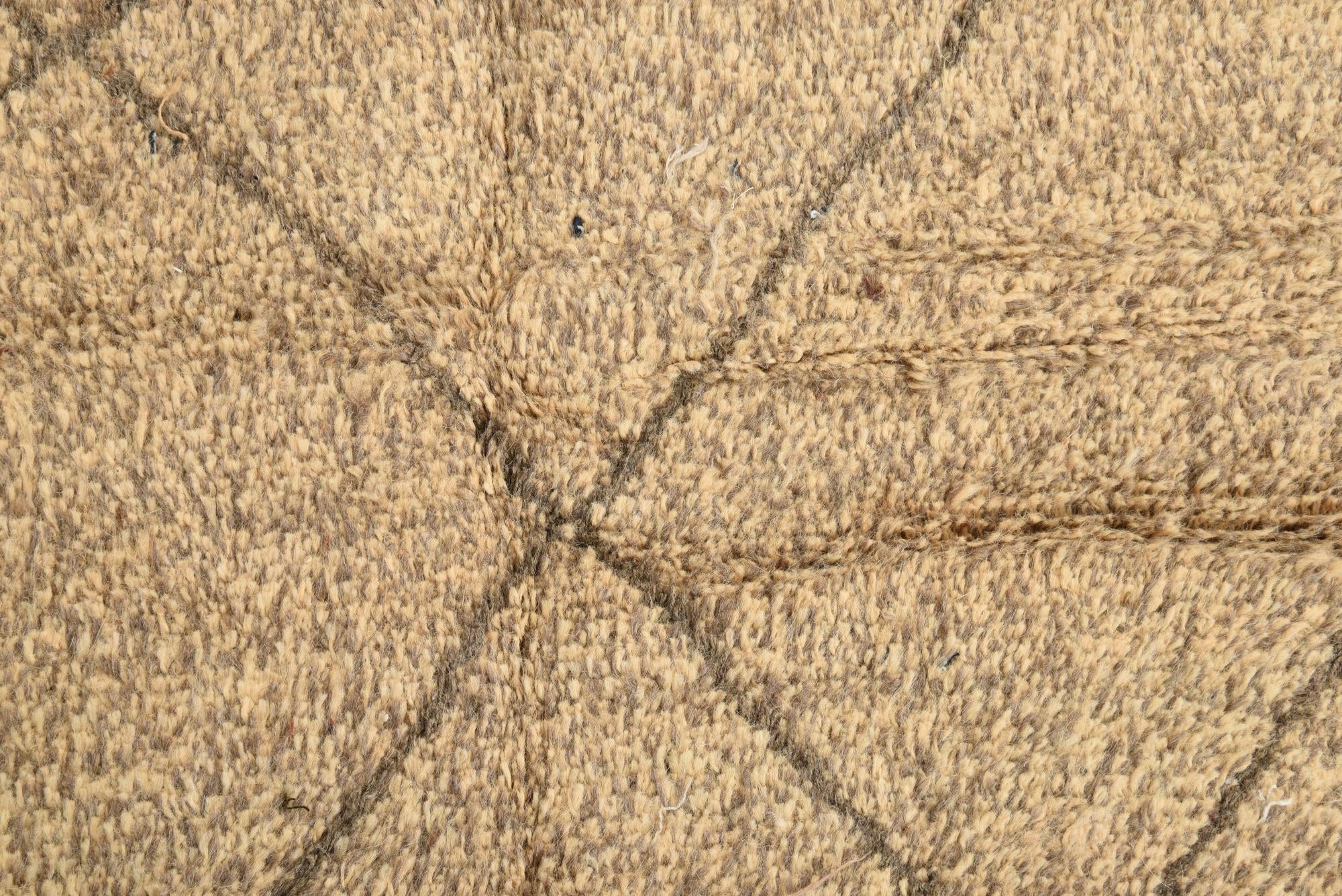 6' 2 x 9' 2 Hand Knotted Moroccan Wool Rug