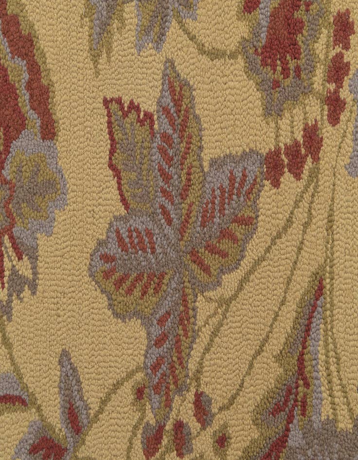 Detail image of 5' x 7' Agra Rug