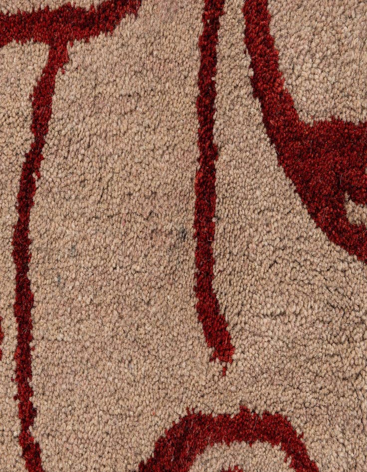 Detail image of 7' 11 x 10' 11 Agra Wool Rug