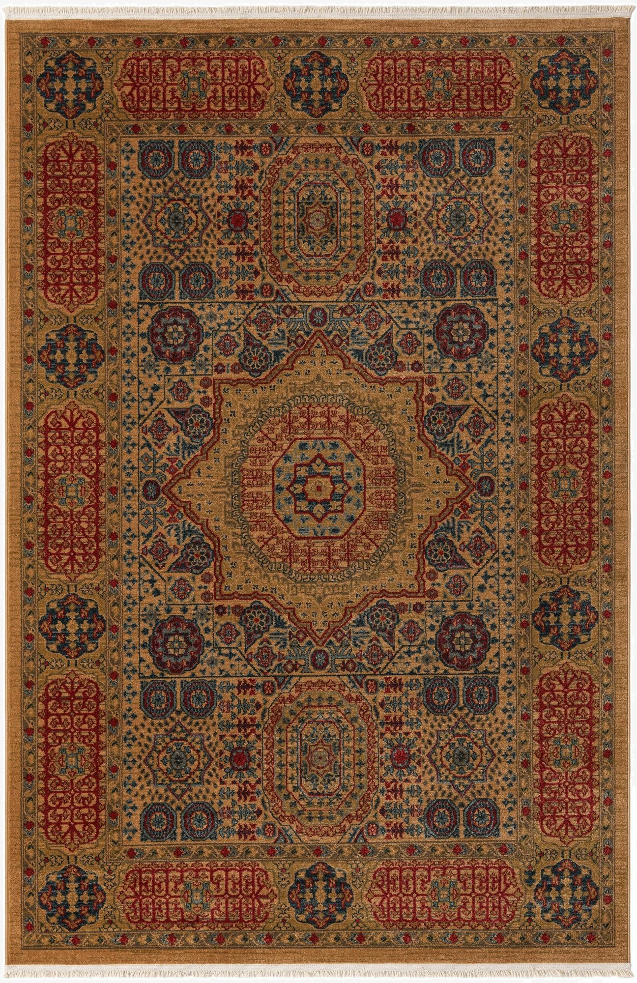 6' x 9' Amina Rug