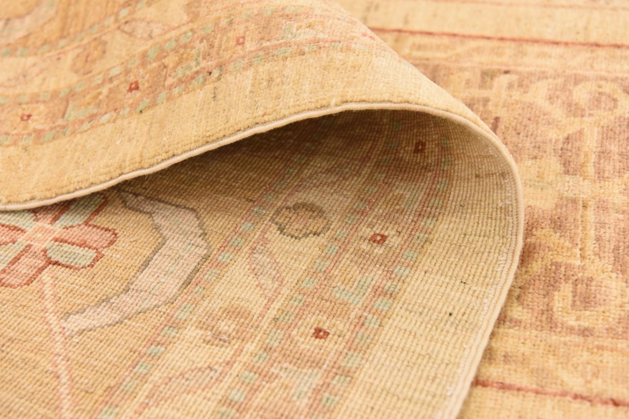 9' 8 x 12' 10 Hand Knotted Ariana Ziegler Rug